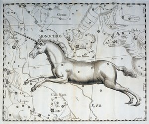 Monocéros, constellation de la Licorne, gravure de l