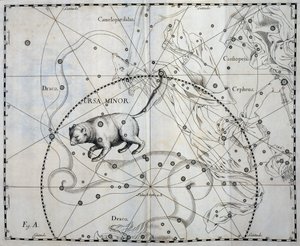 Petite Ourse, constellation boréale de la Petite Ourse, gravure de l
