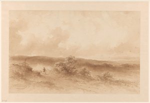 Paysage de dunes