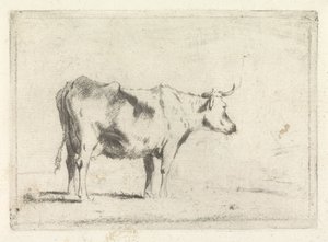 Vache, vers la droite - Johannes Janson (possibly)