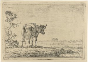 Vache dans un pré - Johannes Janson