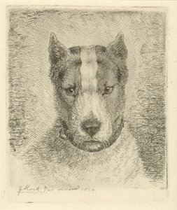 Tête de chien avec collier