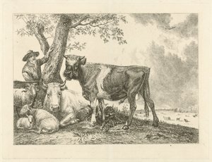 Taureau et fermier