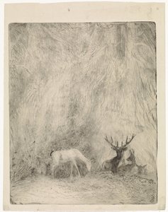Cerfs dans une forêt bohémienne - Johannes Tavenraat