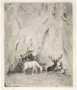 Cerfs dans une forêt bohémienne - Johannes Tavenraat