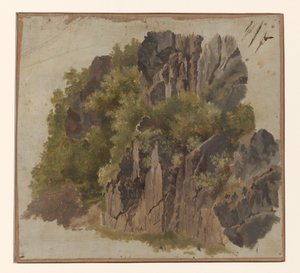 Rochers et végétation