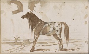 Paysage plat avec un cheval