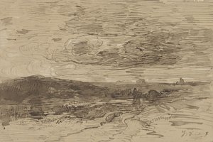 Bruyère en Drente