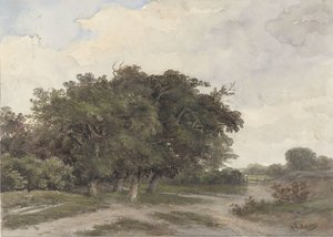 Paysage avec des arbres