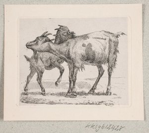 Une chèvre avec son chevreau - Johannes Wilhelm Zillen