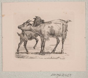 Une chèvre avec son chevreau - Johannes Wilhelm Zillen