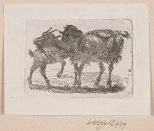 Une chèvre avec son chevreau - Johannes Wilhelm Zillen