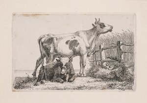 Une vache reposante et une vache debout