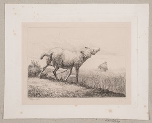 Un mouton bêlant - Johannes Wilhelm Zillen