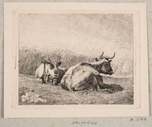 Deux Vaches au Repos