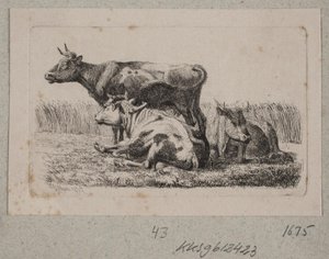 Trois vaches