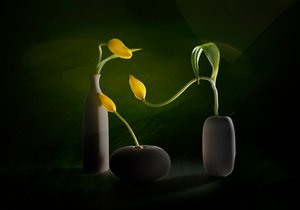 Vases à motifs floraux verts et jaunes - John-Mei Zhong