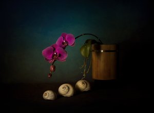 Nature morte aux orchidées violettes