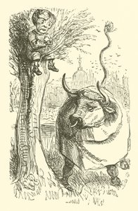 Taureau et garçon