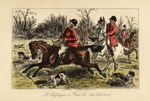 Chasseur anglais traîné au milieu des chiens par son cheval fougueux