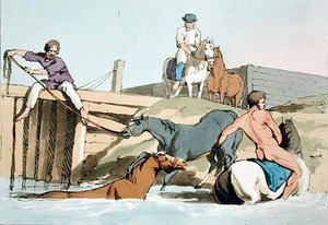 Chevaux se baignant, gravé par l