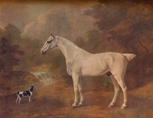 Un gris piqué de puces et un terrier tacheté, 1803 - John Boultbee