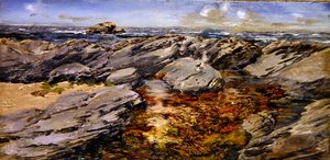 Rochers sur le rivage