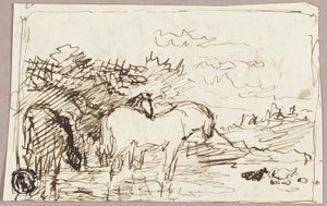 Esquisse de chevaux debout dans l