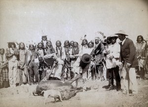 Écorchage de bœuf, 1891 - John C. H. Grabill