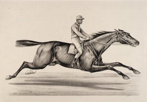 Empereur de Norfolk