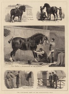 Le Salon des Chevaux de Trait au Hall Agricole