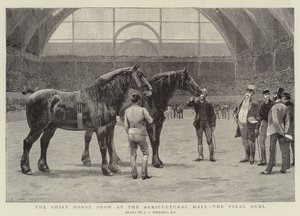Le concours de chevaux de trait à l