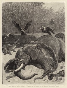 Comment sont tombés les puissants!, une Scène sur les Rives de la Rivière Limpopo, Afrique du Sud - John Charlton