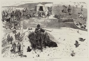 La récolte de grouse