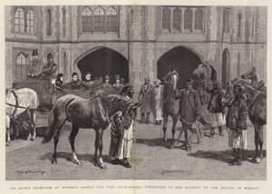 La Reine recevant au château de Windsor les cinq chevaux arabes offerts à Sa Majesté par le Sultan de Mascate - John Charlton