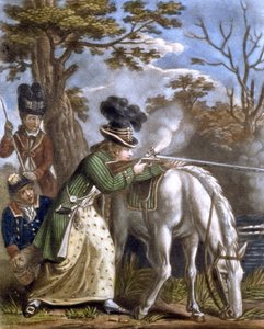 Le poney de tir des dames