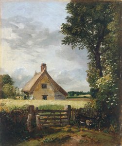 Un cottage dans un champ de maïs - John Constable