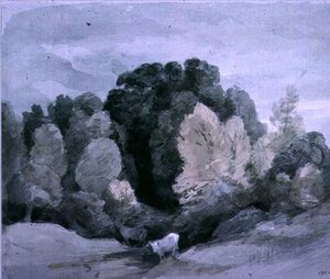 Bétail près du bord d