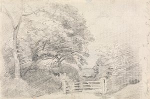 Coombe Wood