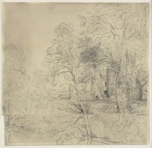 Château de Cowdray, vu entre les arbres