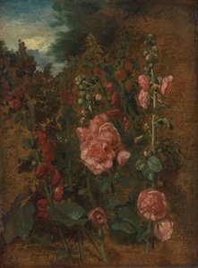 Étude de roses trémières