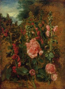 Étude de roses trémières, c.1826