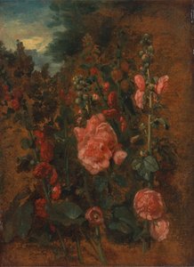 Étude de roses trémières, vers 1826