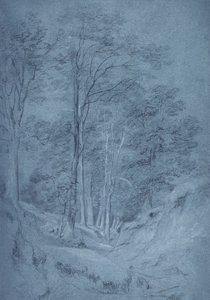 Étude de frêne et autres arbres - John Constable