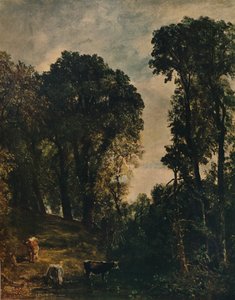 Arbres près de l