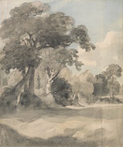 Arbres dans un pré