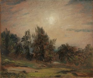 Arbres sur la lande de Hampstead