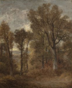 Scène boisée surplombant Dedham Vale, vers 1802-03