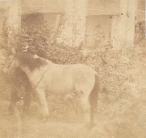 [Homme et cheval, Government House, Allahabad] - John Constantine Stanley