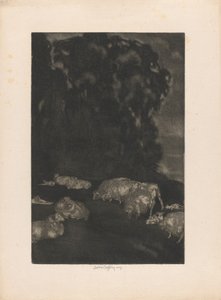 Moutons au crépuscule